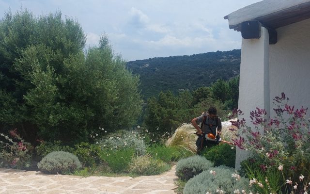 Manutenzione giardini Oristano